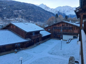 Au coeur des Alpes